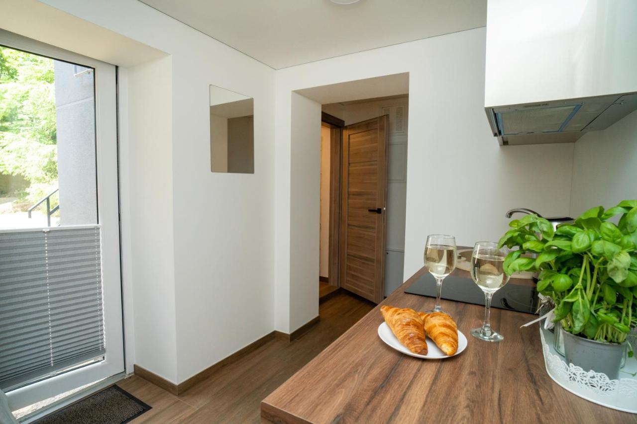 Downhill Apartment On The Groundfloor Kaunas Eksteriør billede
